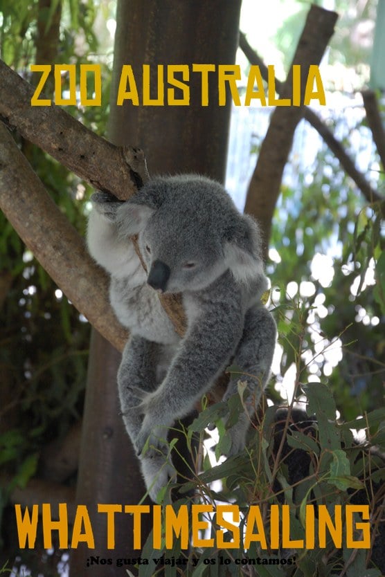 Zoo Australia